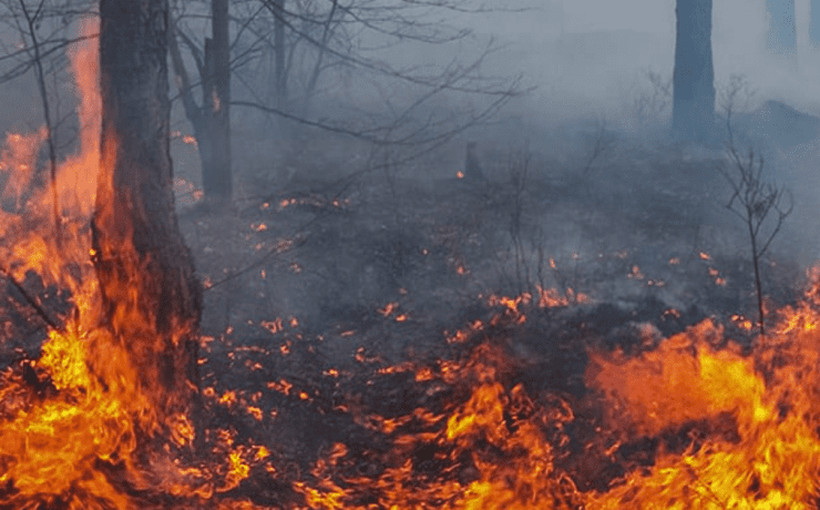 what is reckless burning