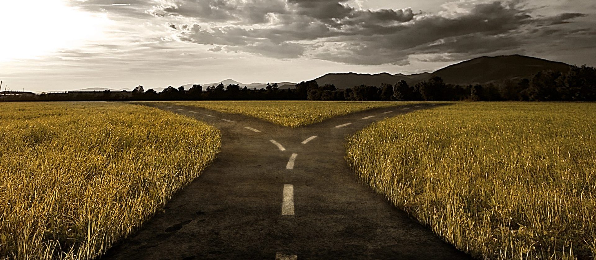 Can I Change My Lawyer After a Conviction and Go for an Appeal?