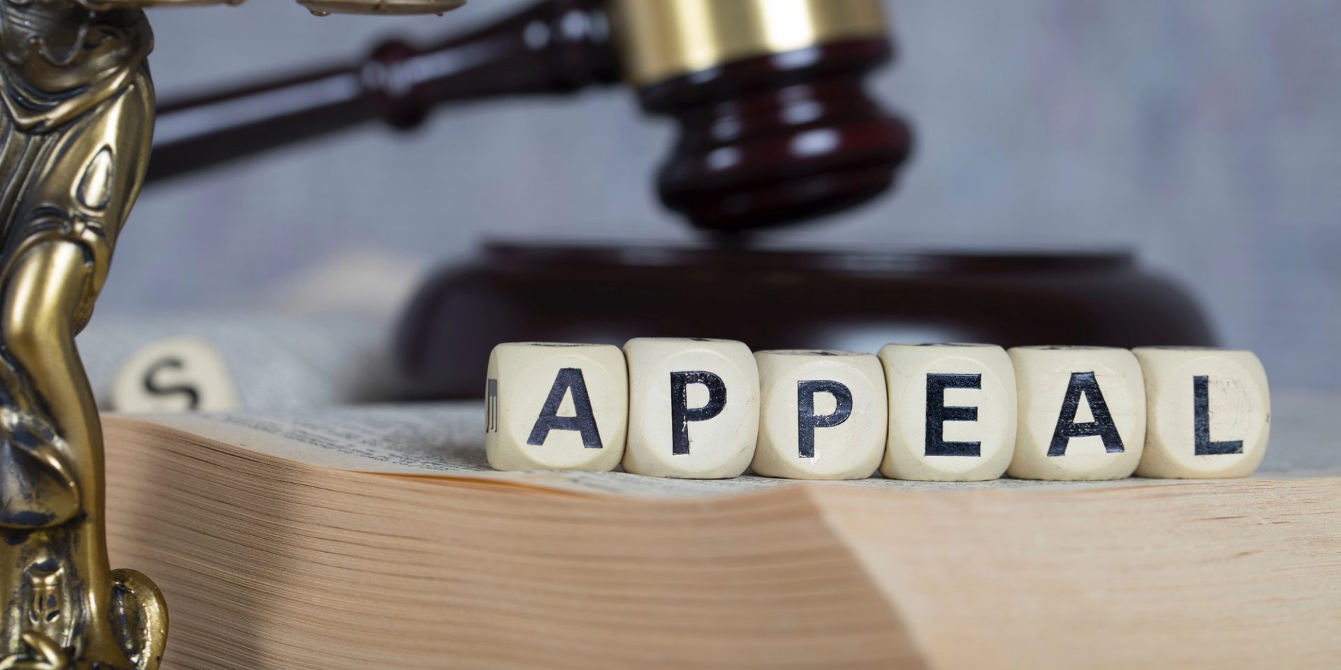 How to Appeal a Criminal Conviction in California