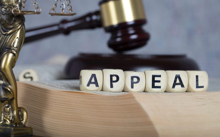 How to Appeal a Criminal Conviction in California