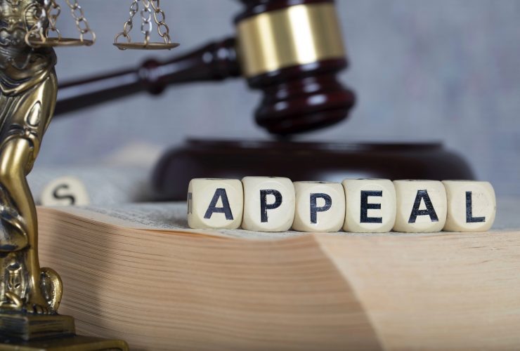 How to Appeal a Criminal Conviction in California